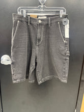 Load image into Gallery viewer, NWT Pac Sun Shorts Size 30
