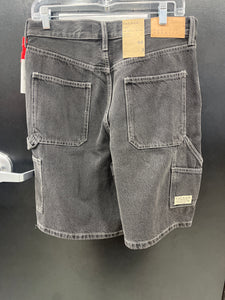NWT Pac Sun Shorts Size 30